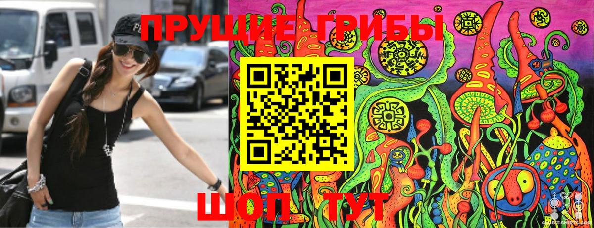 Псилоцибиновые грибы прущие грибы  Галлюциногенные грибы прущие грибы  купить  сайты  Карабулак 